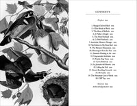 Conversations with Birds