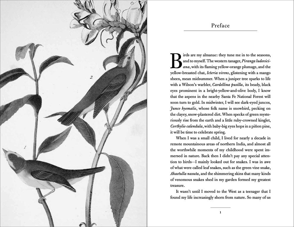 Conversations with Birds