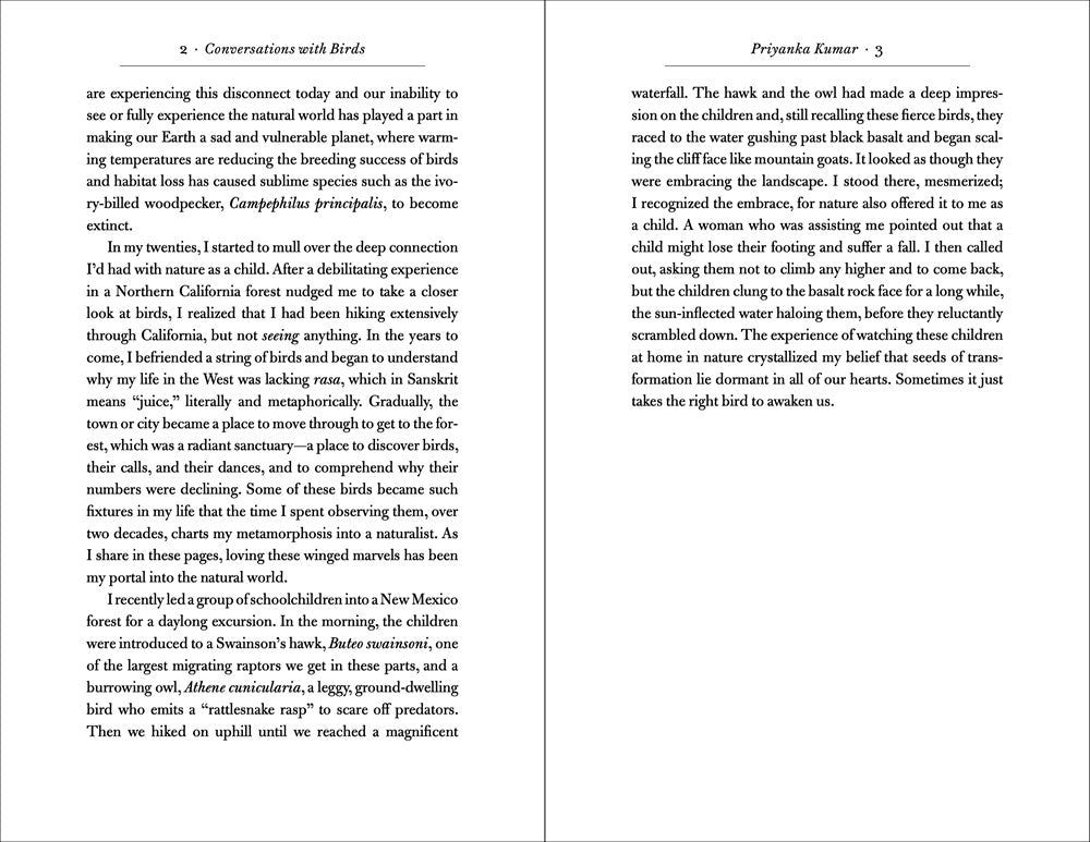 Conversations with Birds