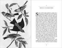 Conversations with Birds