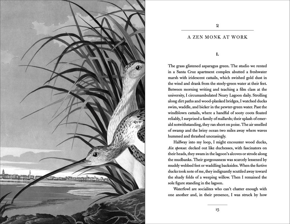 Conversations with Birds