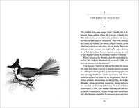 Conversations with Birds