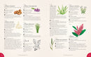 The Complete Language of Flowers