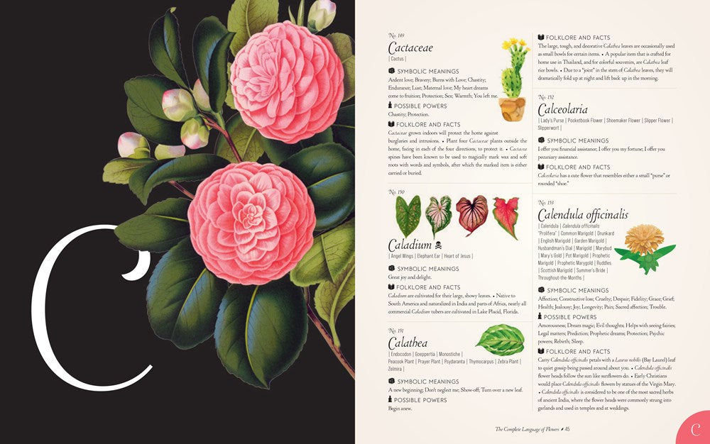 The Complete Language of Flowers