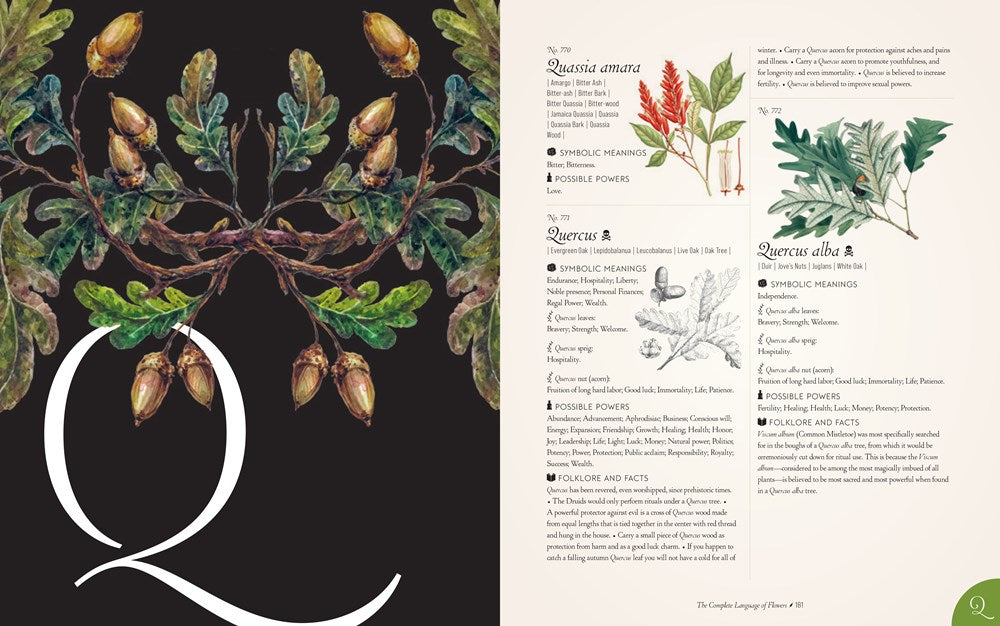 The Complete Language of Flowers