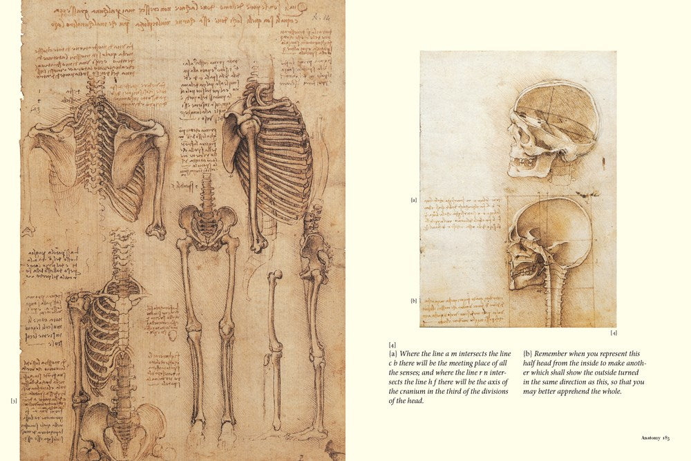 Leonardo's Notebooks