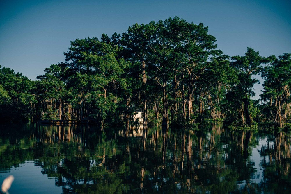 Mosquito Supper Club: Cajun Recipes from a Disappearing Bayou