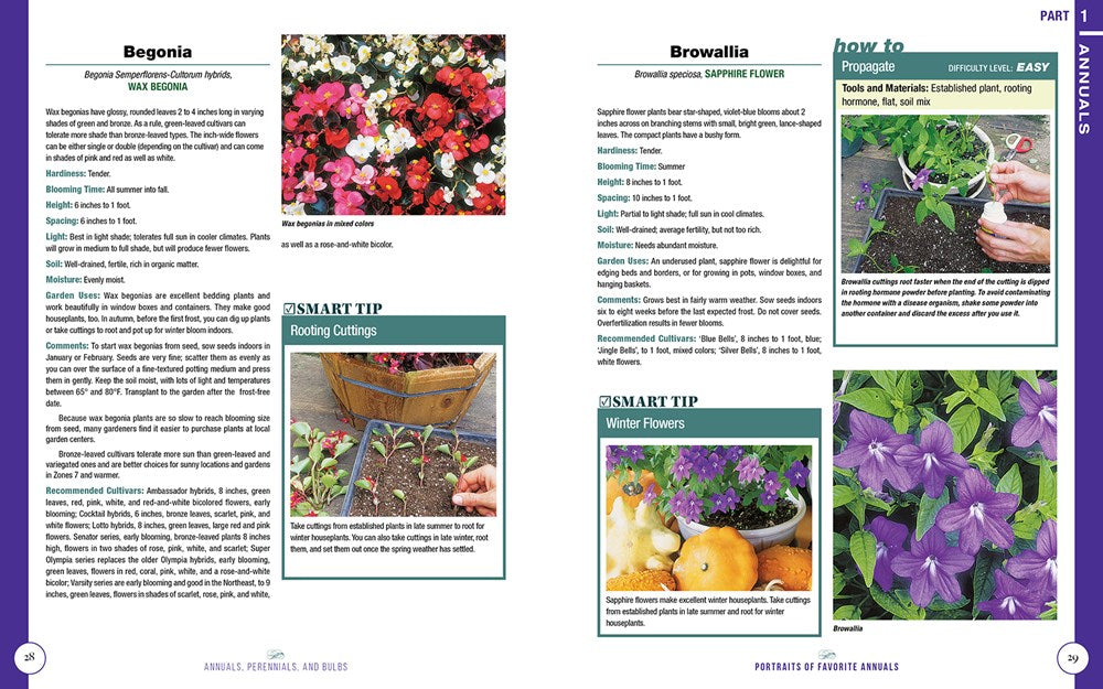 Annuals, Perennials, and Bulbs