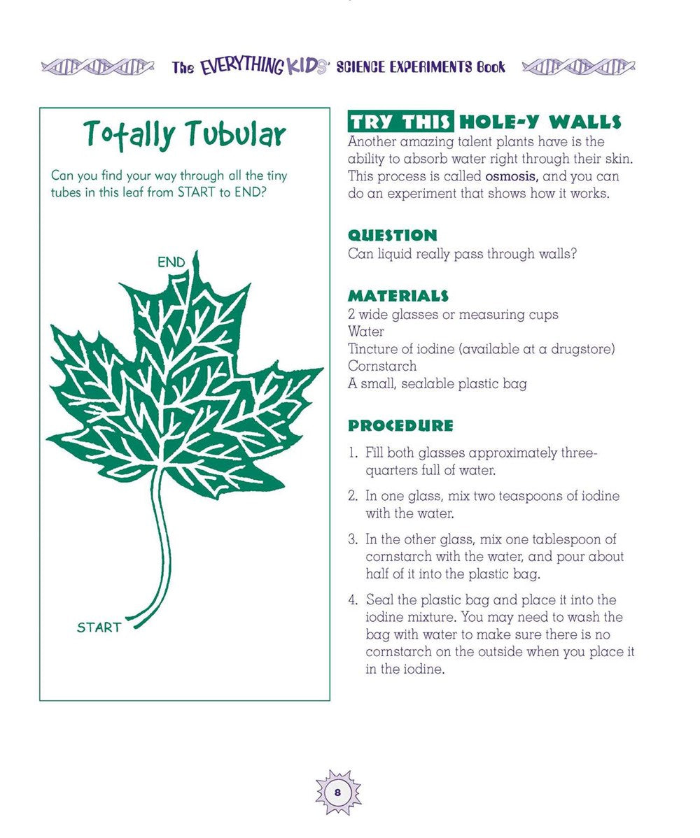 The Everything Kids' Science Experiments Book: Boil Ice, Float Water, Measure Gravity-Challenge the World Around You!