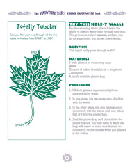 The Everything Kids' Science Experiments Book: Boil Ice, Float Water, Measure Gravity-Challenge the World Around You!