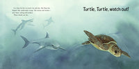 Turtle, Turtle, Watch Out!