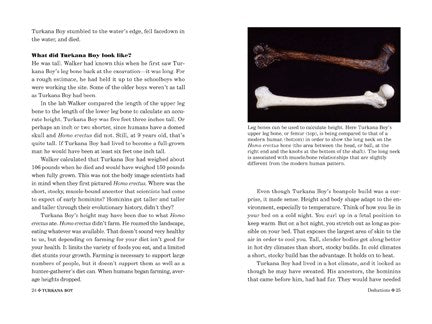 Every Bone Tells a Story