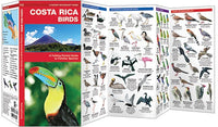 Costa Rica Birds