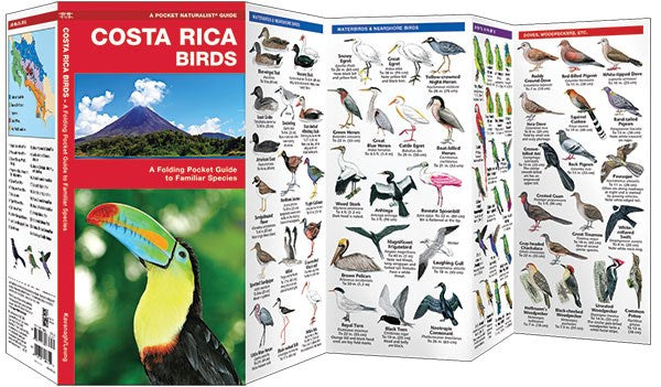 Costa Rica Birds