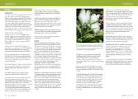 Georgia Month-by-Month Gardening