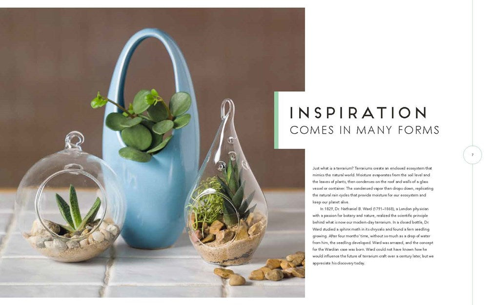 Terrariums - Gardens Under Glass
