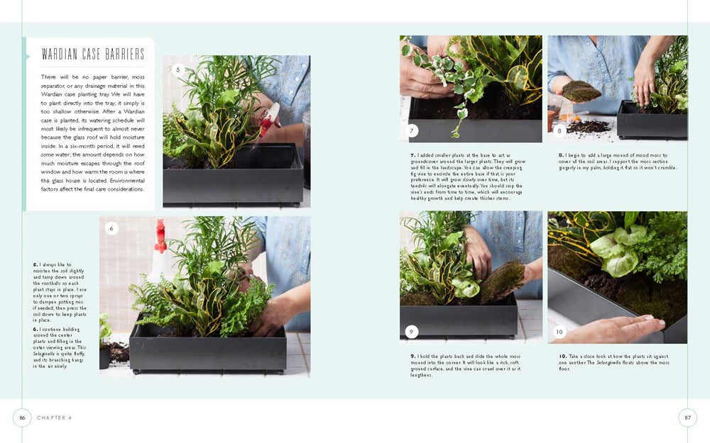 Terrariums - Gardens Under Glass