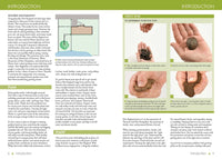 New England Month-by-Month Gardening