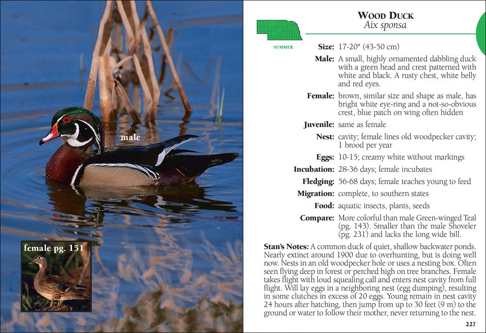 Birds of Nebraska Field Guide