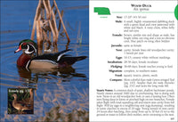 Birds of Nebraska Field Guide