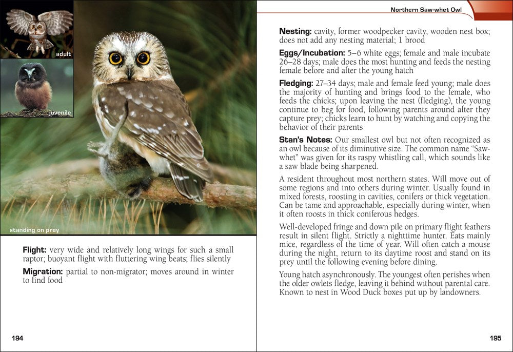 Birds of Prey of the South Field Guide