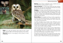 Birds of Prey of the South Field Guide