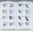 Birds of the Midwest
