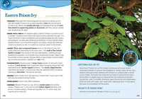 Common Backyard Weeds of the Upper Midwest