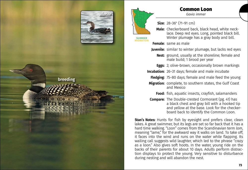 Birds of Minnesota Field Guide  (3rd Edition, Revised)