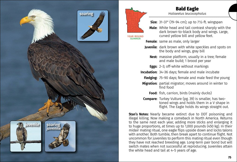Birds of Minnesota Field Guide  (3rd Edition, Revised)