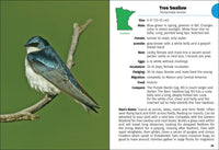 Birds of Minnesota Field Guide  (3rd Edition, Revised)