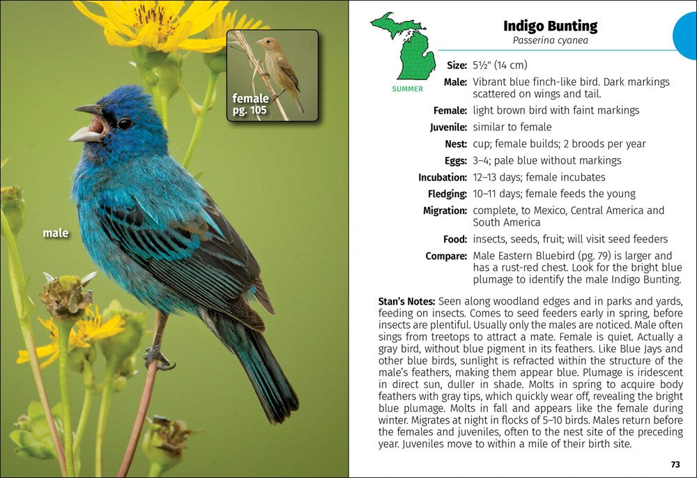 Birds of Michigan Field Guide  (3rd Edition, Revised)