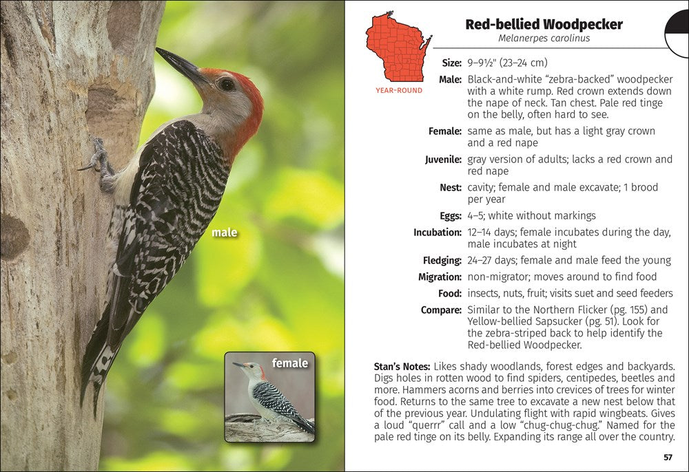 Birds of Wisconsin Field Guide  (3rd Edition, Revised)