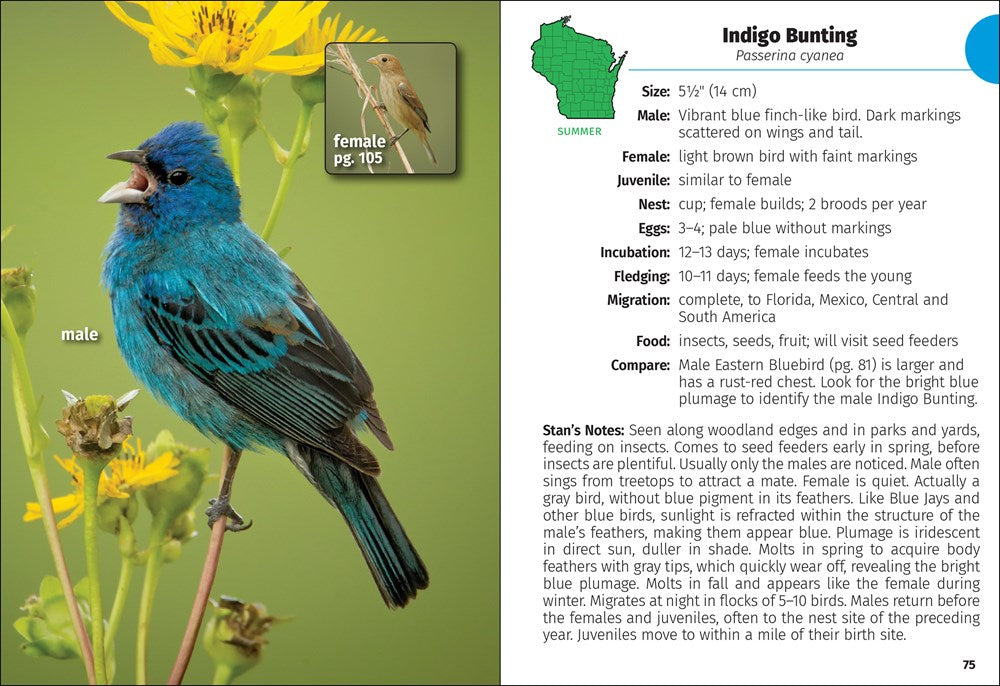 Birds of Wisconsin Field Guide  (3rd Edition, Revised)