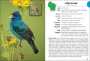 Birds of Wisconsin Field Guide  (3rd Edition, Revised)