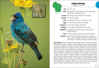Birds of Wisconsin Field Guide  (3rd Edition, Revised)