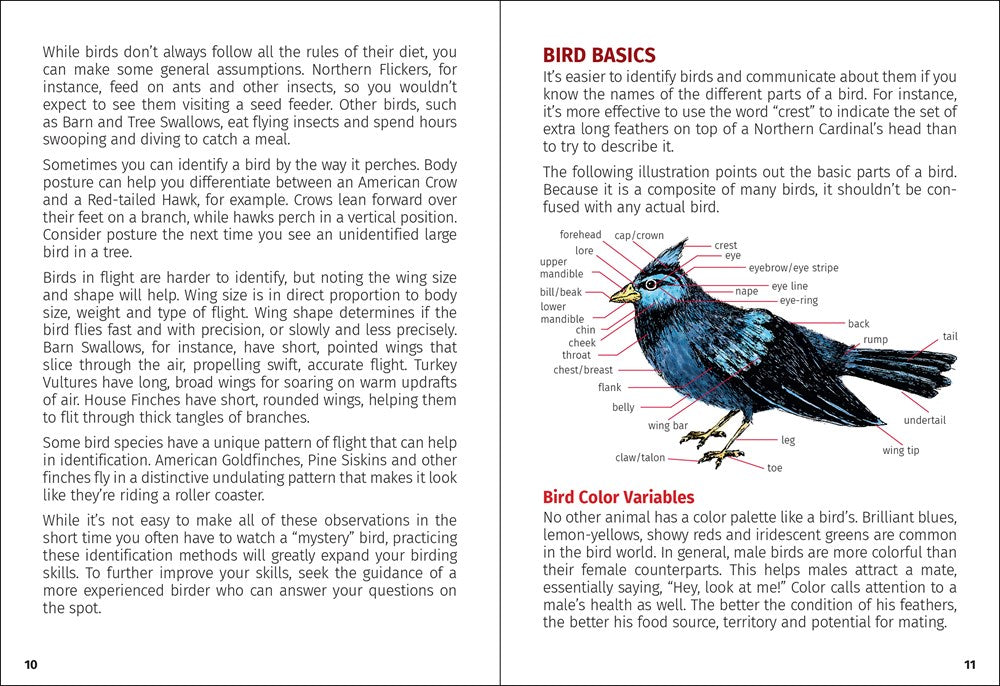 Birds of Wisconsin Field Guide  (3rd Edition, Revised)
