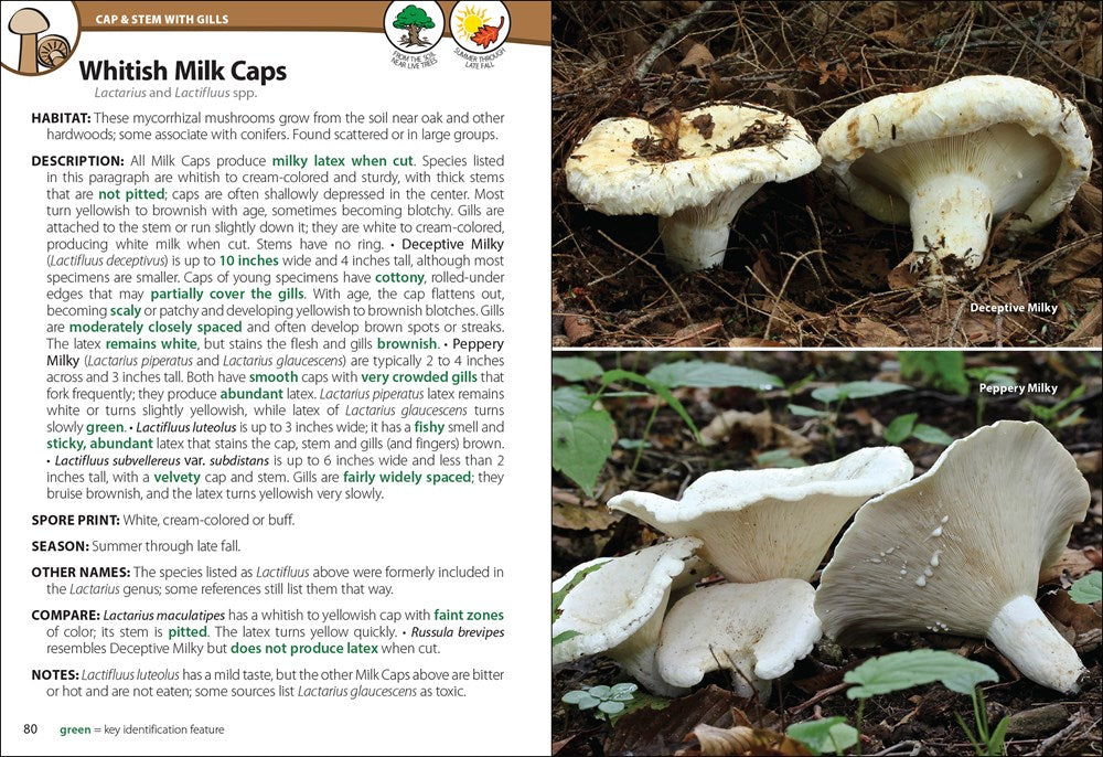 Mushrooms of the Upper Midwest: A Simple Guide to Common Mushrooms (2nd Edition, Revised)