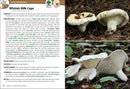 Mushrooms of the Upper Midwest: A Simple Guide to Common Mushrooms (2nd Edition, Revised)