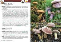 Mushrooms of the Upper Midwest: A Simple Guide to Common Mushrooms (2nd Edition, Revised)