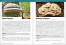 Mushrooms of the Upper Midwest: A Simple Guide to Common Mushrooms (2nd Edition, Revised)