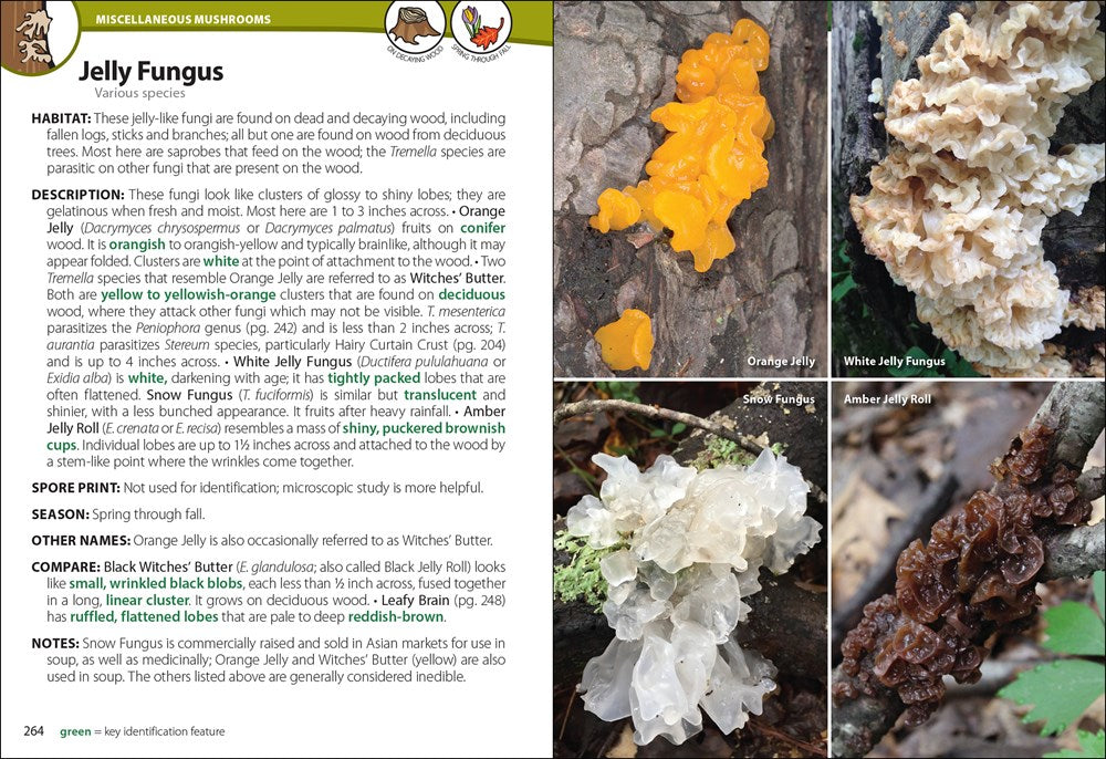 Mushrooms of the Upper Midwest: A Simple Guide to Common Mushrooms (2nd Edition, Revised)