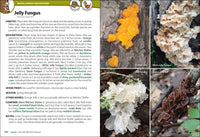 Mushrooms of the Upper Midwest: A Simple Guide to Common Mushrooms (2nd Edition, Revised)