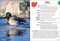 Birds of Ohio Field Guide  (3rd Edition, Revised)