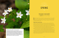 The Unplugged Family Activity Book