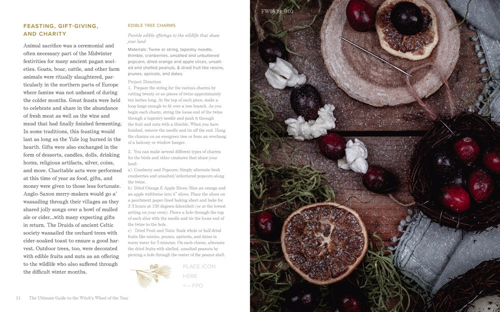 The Ultimate Guide to the Witch's Wheel of the Year