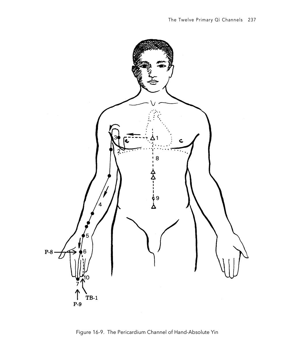 The Root of Chinese Qigong 3rd. ed.