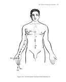 The Root of Chinese Qigong 3rd. ed.