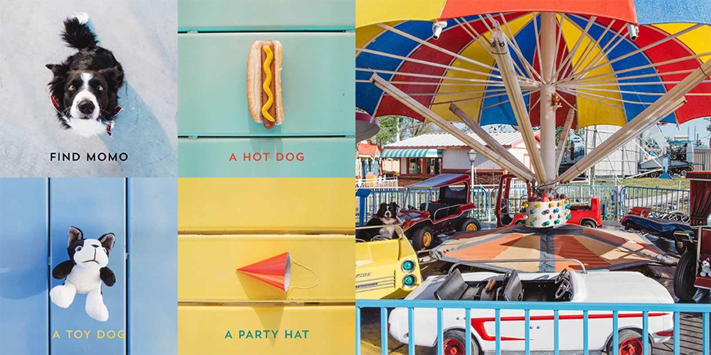 Let's Find Momo!: A Hide-and-Seek Board Book