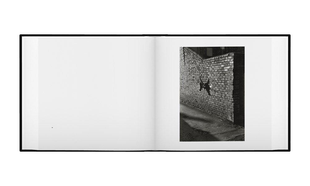 Josef Koudelka: Exiles